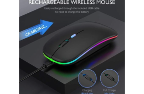 Souris sans fil