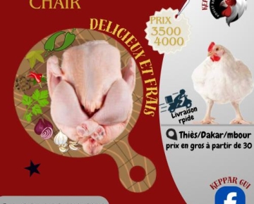 Poulet de chair