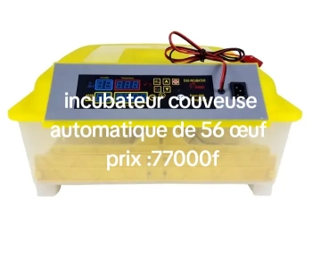 couveuse œufs automatique