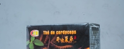 Thé de cordyceps