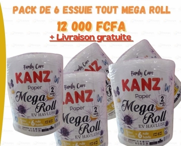 Paks de 6 essuie tout mega roll