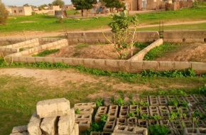 Terrain à vendre à Touba Santhi Darou Salam